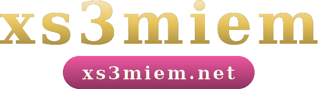 xs3miem logo